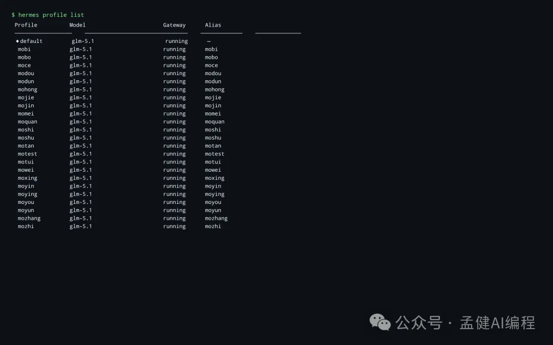 Hermes裏24個profile全部跑在glm-5.1
