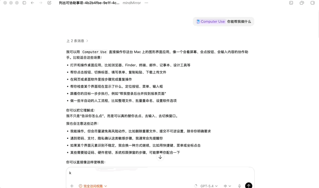 Computer Use 能力說明