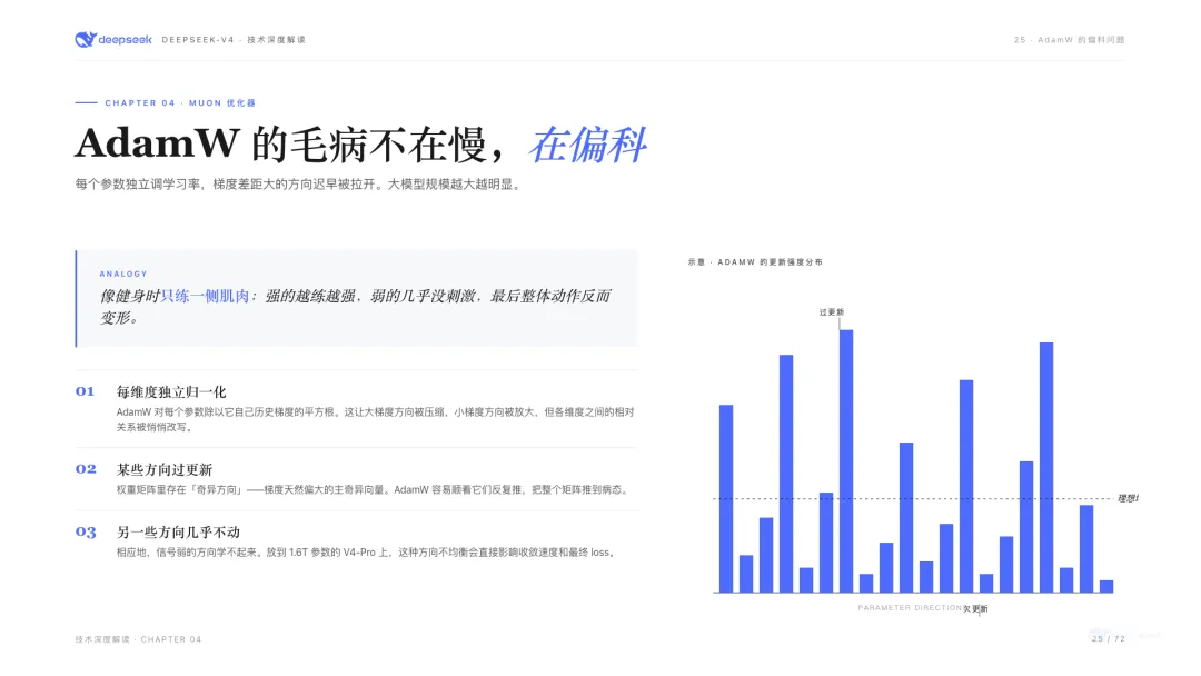 AdamW的更新強度分佈:少數「熱門方向」被過度更新,其他方向幾乎不動