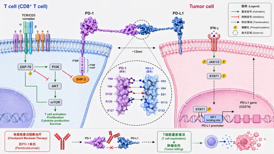 📎 附件文件/GPT-Image-2再登生圖SOTA王座，現實又又又不存在了。/img_11.png